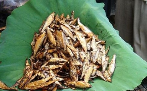 是白洋淀一种传统的熏制风味食品,历来为当地土特产之一,深受广大食客