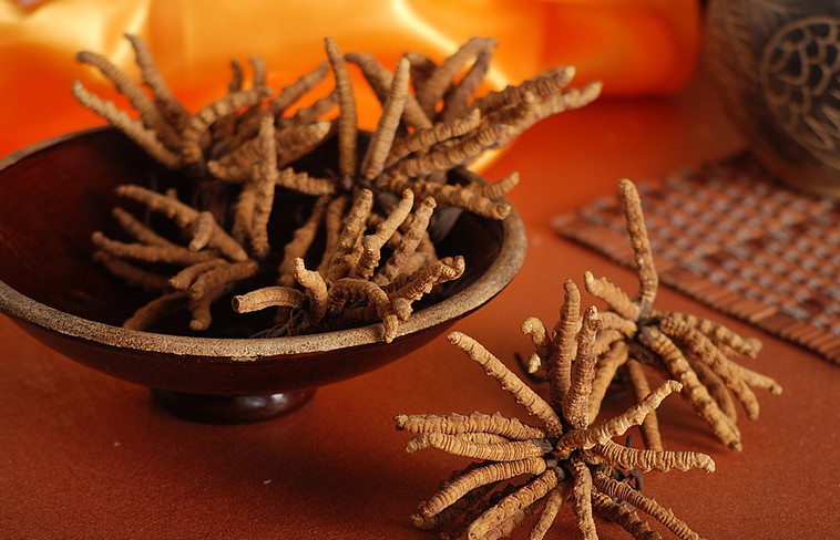 北京收东阿阿胶块 上门回收冬虫夏草含片