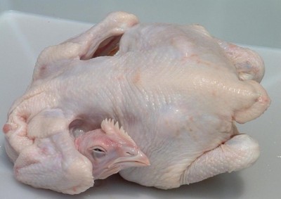 口碑好,报价实惠合理的厂家选哪家?