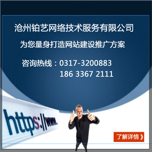 沧县铂艺公司专业网站建设品牌营销 