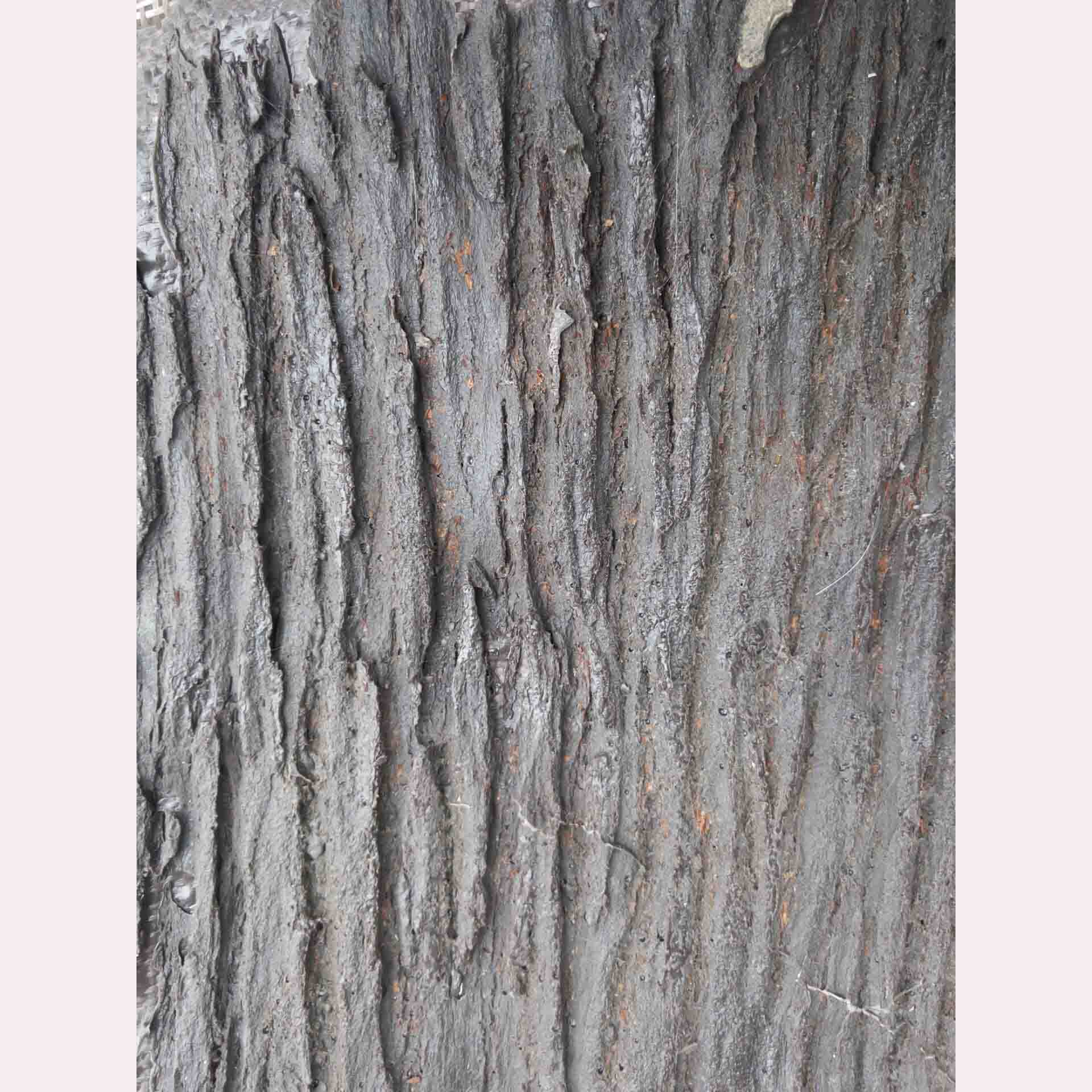 广东仿真树皮哪家强?厂家直销