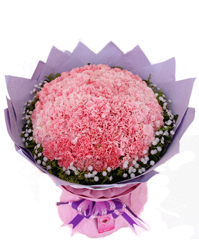 沧州母亲节礼物99朵康乃馨预定价格