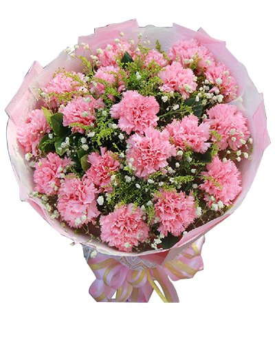 11朵康乃馨鲜花