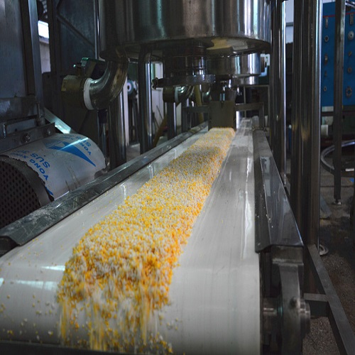 玉米粉丝生产线