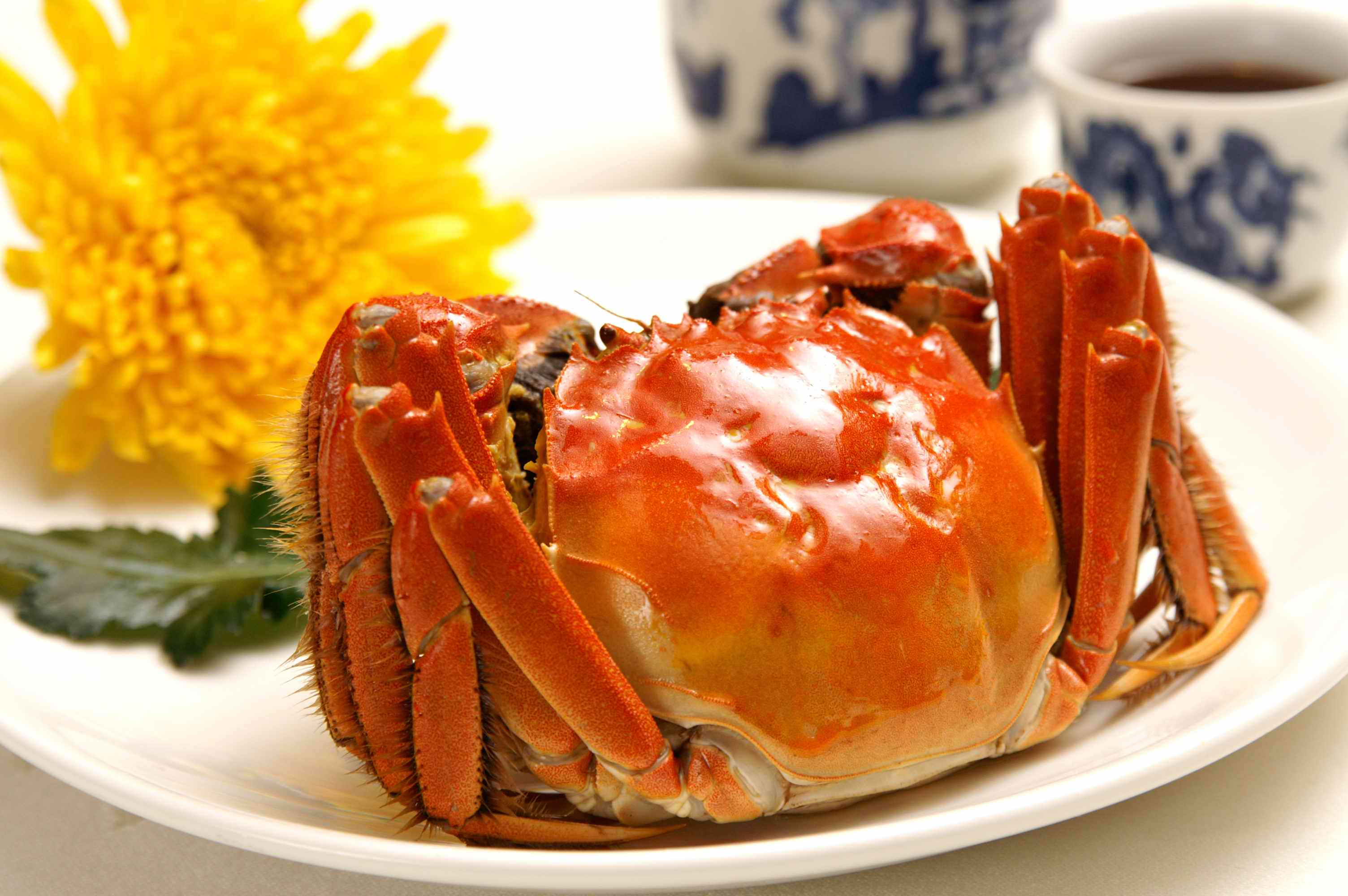 听说e果通阳澄湖大闸蟹上线了?现在可以抢购了?