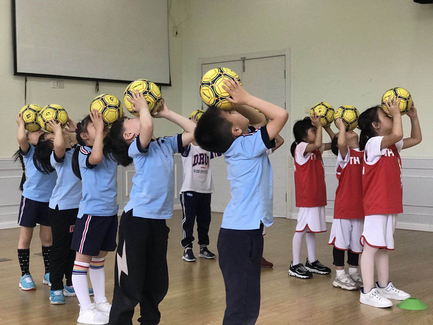 我要看丰富的足球（我要看足球长什么样）