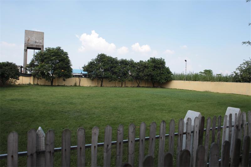 深圳宠物训练学校|广州金毛犬价格|深圳犬行为