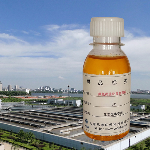 氨氮专用去除菌种