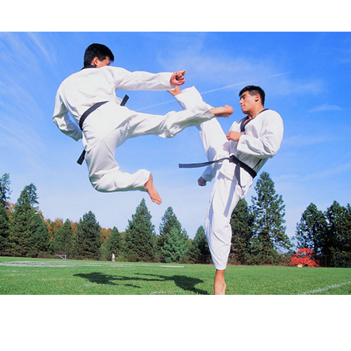 常青花园知名少儿跆拳道培训中心就找能仁!