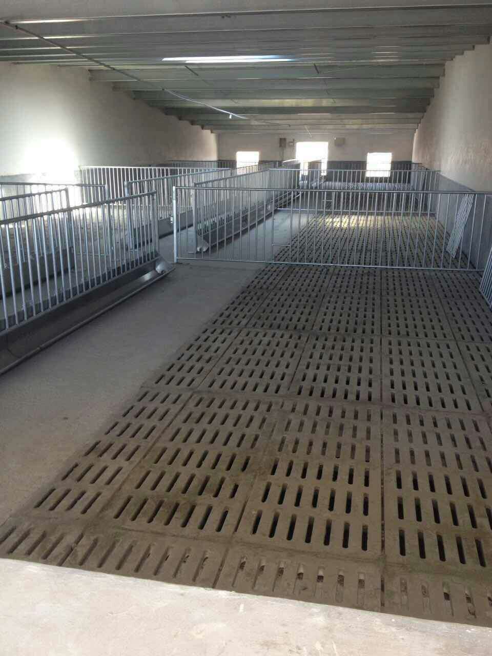 猪场漏粪板厂家直销,湖南哪有卖厂家卖?