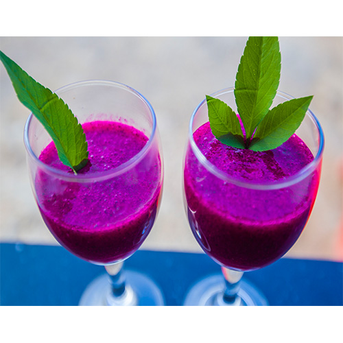 桂城甜度高的有机红心火龙果哪个农场有?