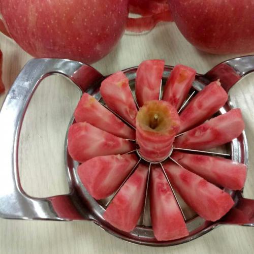 红肉苹果幼果图片图片