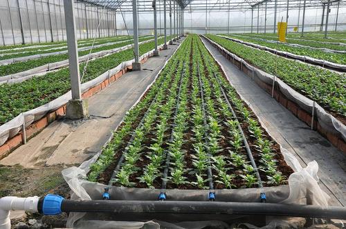 北京园林自动喷灌设计,满足不同用户,不同应用场合的需要