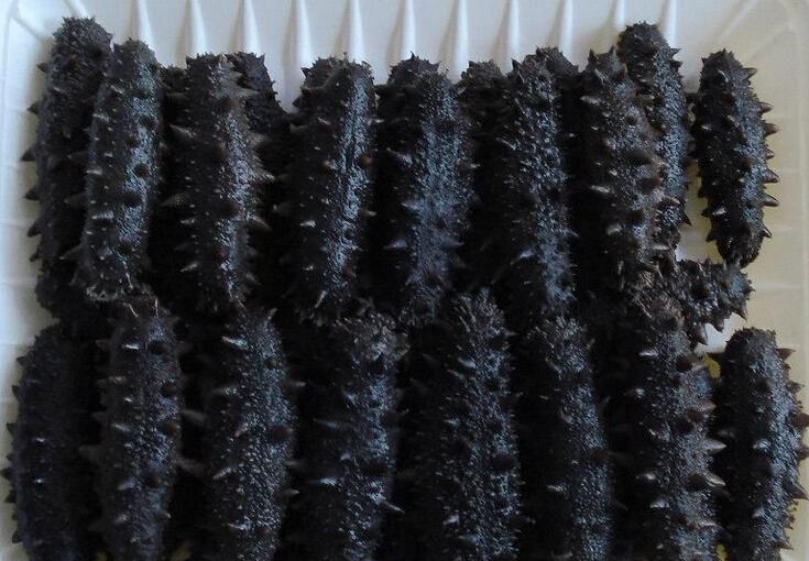 南昌拉缸盐海参的做法/南昌拉缸盐海参的好处有什么/拉缸盐海参有哪些