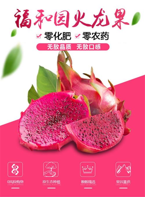 紫水晶火龙果