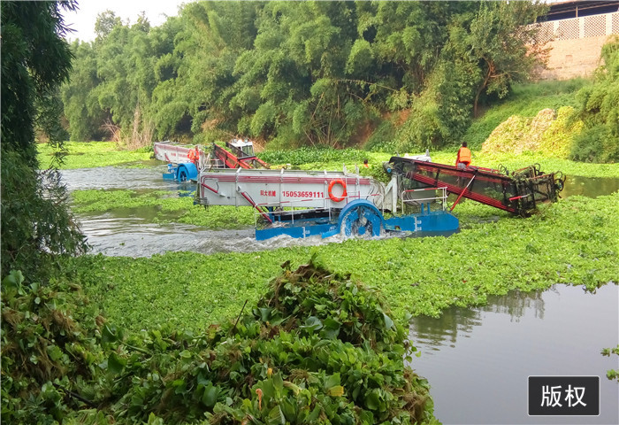 全自动水草收割船 割草设备 垃圾打捞机械