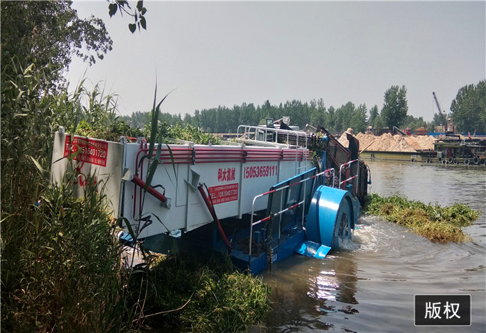 水草清理设备 浮萍收集船 垃圾打捞船欢迎大神指导