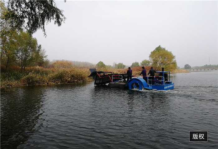 浮萍收集船 割草船 水花生打捞船
