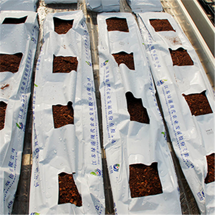 栽培袋花卉用低盐椰糠砖椰糠栽培条山东垦源农业