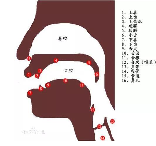 口才名师3分钟让你口齿清晰的诀窍:口部操