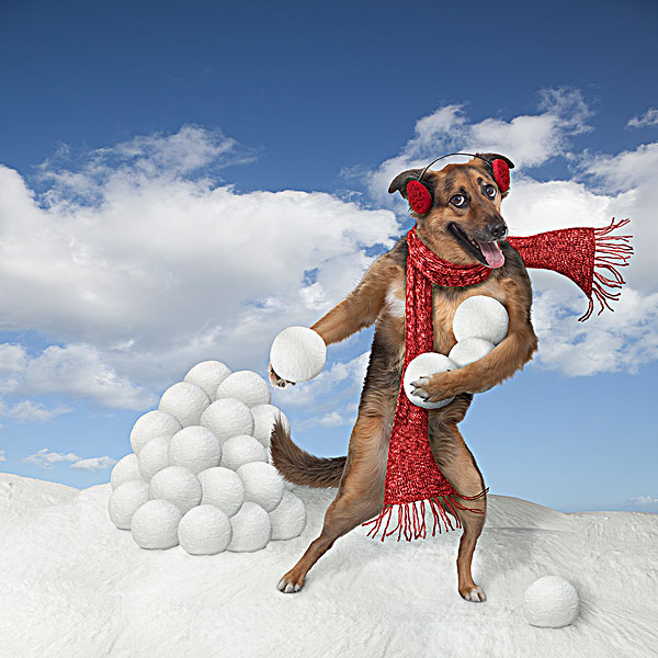 寒假班-寒假班右脑训练开发课程