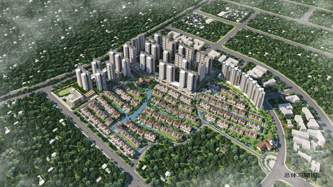 惠州博罗县实地常春藤怎么样?