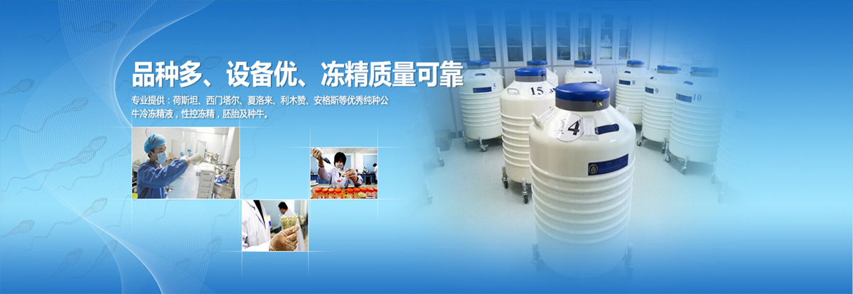 进口冻精