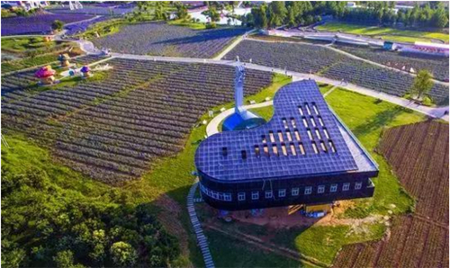 聆听永恒的经典,来洛阳看邓丽君金曲演唱会