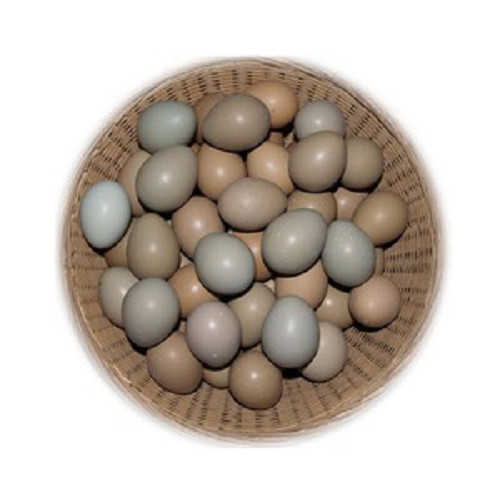 野鸡蛋是什么样子