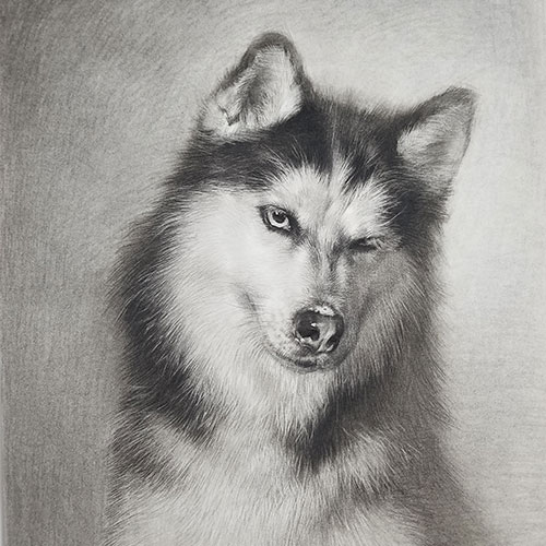 兰州高考速写培训班哪家好 速写与素描的区别