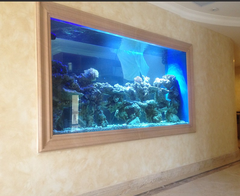 深圳哪里有御龙殿卖|深圳哪里卖大型鱼缸|美达轩水族连