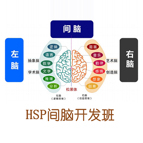 hsp间脑开发班