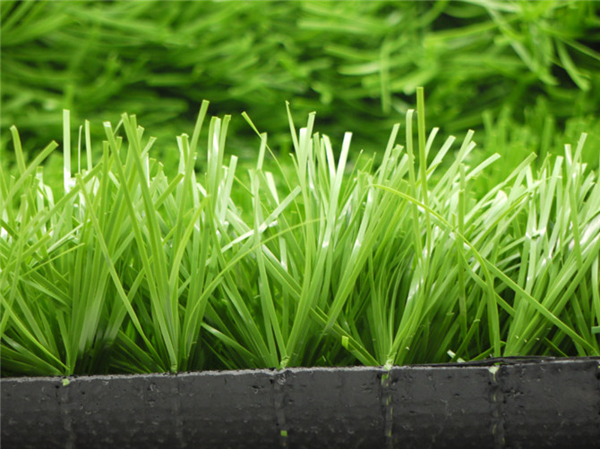 运动草--橄榄单丝