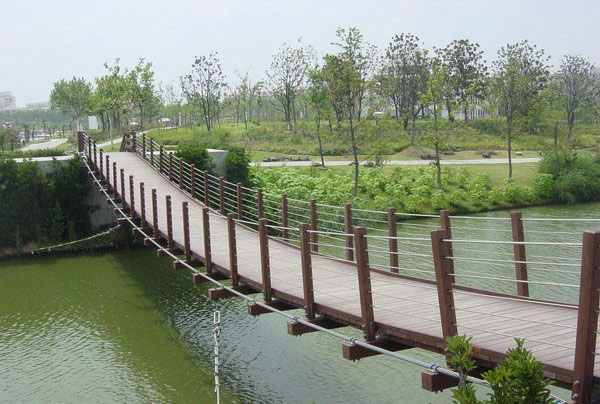 新蔡东湖公园吊桥图片