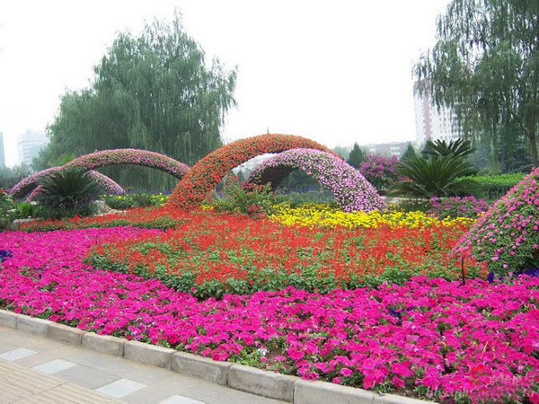 本信息包含关键词:江西花卉基地       南昌草花