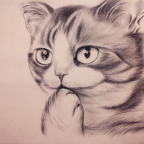 南京大光路附近的小学生素描培训班费用