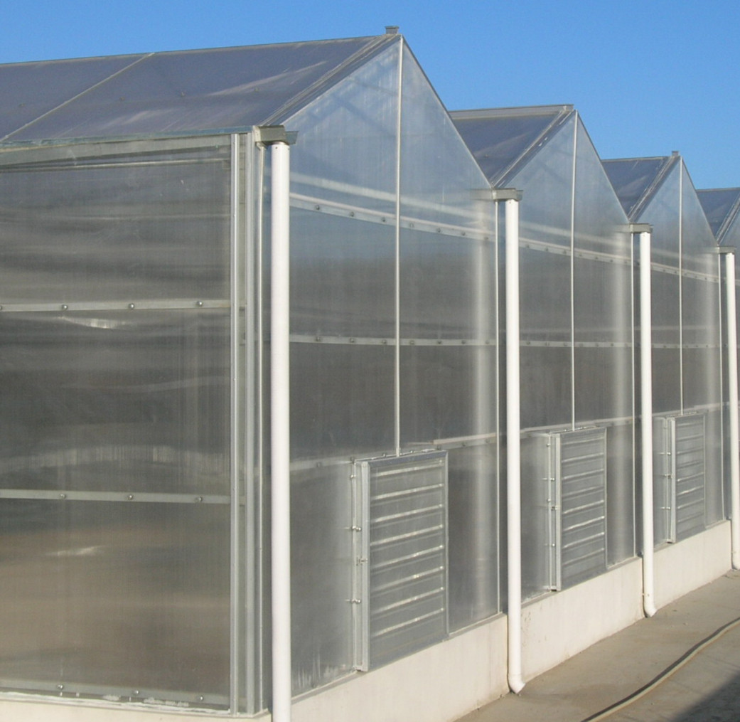 淄博建大棚用阳光板