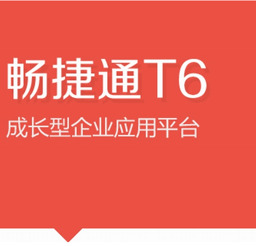 用友畅捷通 t6