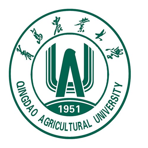企业信息 诚 会员青岛安越科技培训学校