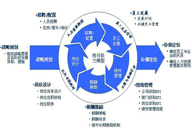 高职学习什么专业?人力资源管理专业