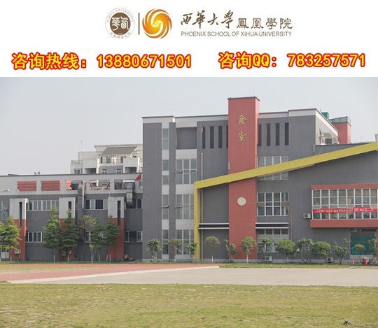 航空服务专业对视力要求是多少西华大学凤凰学院