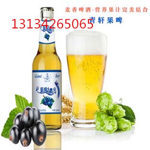 果味啤酒怎么混搭_果味啤酒