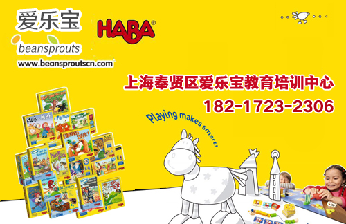 南桥镇haba逻辑思维课早教机构开发宝贝聪明才智