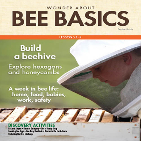 金鑫怡园附近品牌双语幼儿园晚托收费标准