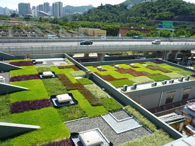 上海佛甲草屋顶绿化价格*长宁屋顶花园佛甲草公司