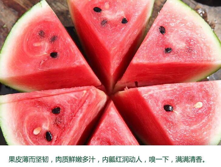 烟台黑美人西瓜批发/烟台黑美人西瓜批发供应/烟台新鲜水果批发