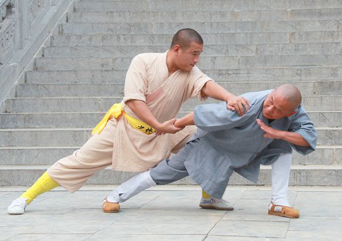 外国人到少林寺武术学校学武需要些什么条件,条件苛刻吗
