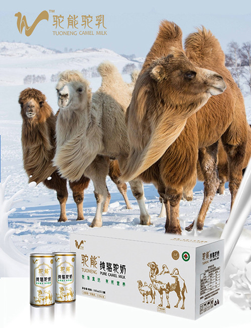 网站首页 公司首页 主营项目 > 驼乳-驼能生物科技