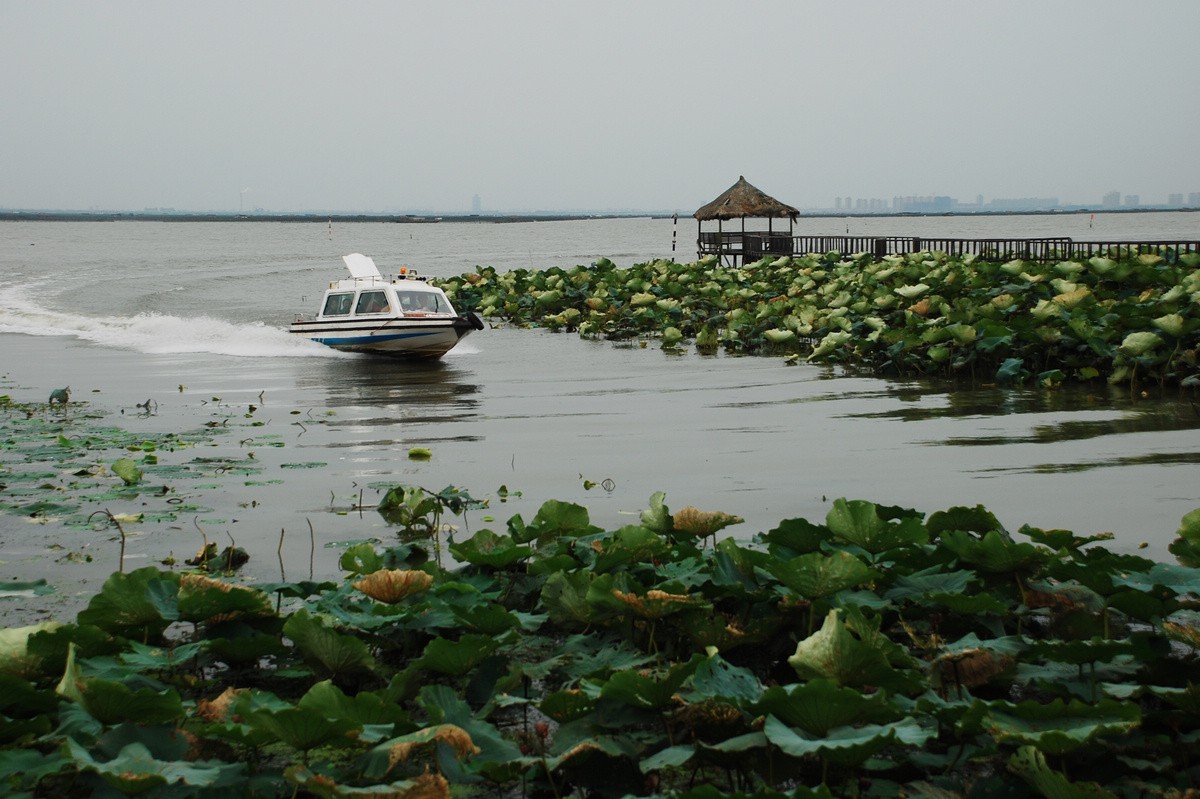 上海到陽澄湖蓮花島|蘇州陽澄湖旅遊度假區|陽澄湖哪家農家樂好