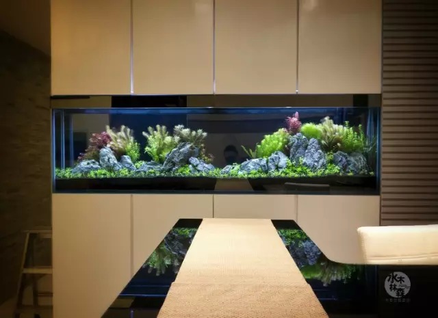 深圳大型鱼缸工程/坂田大型鱼缸定制造景公司,大型鱼缸工程建造的佼佼